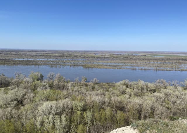 Смотровая площадка природного парка Донской. Фотография 2
