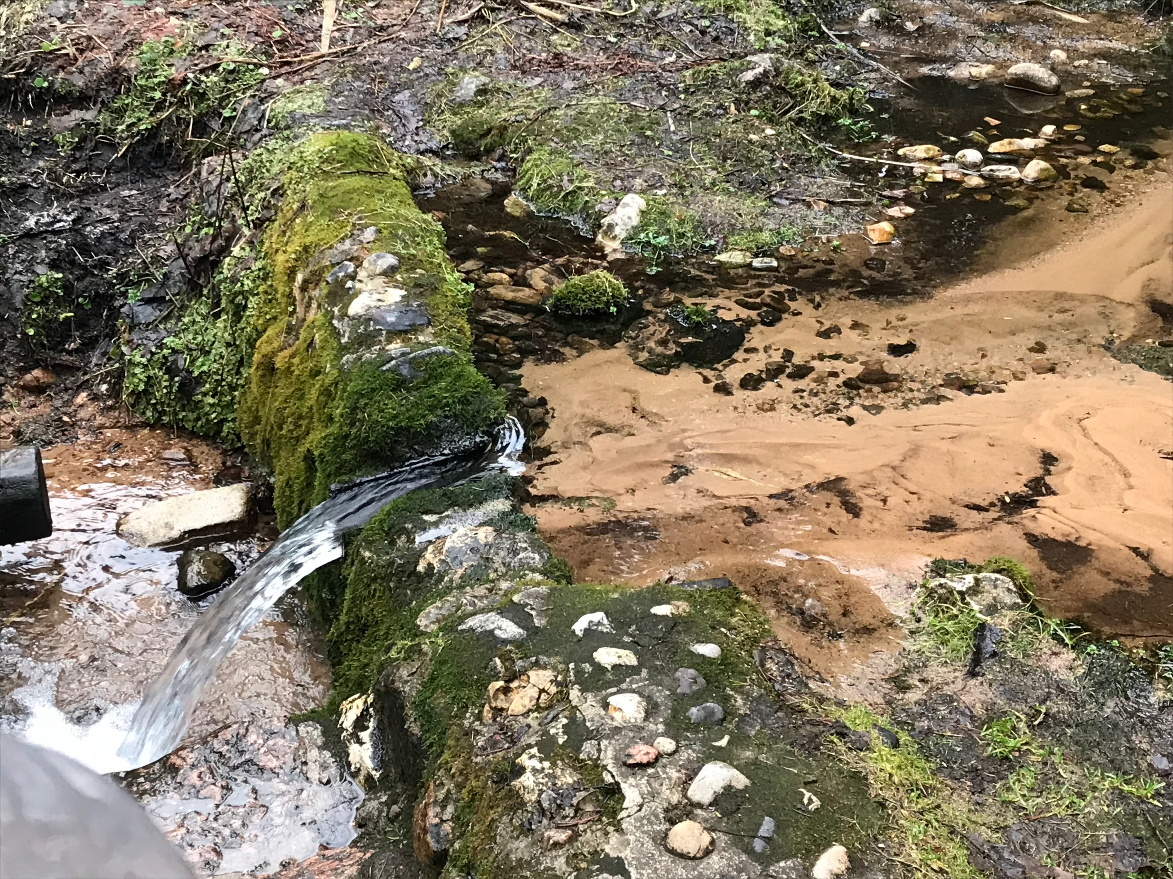 Spring Sokolovskie Keys — photo 3