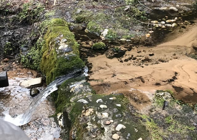 Родник Соколовские ключи. Фотография 3