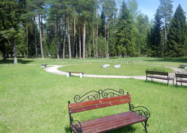 Усадьба князей Гагариных (Холомки). Фотография 2