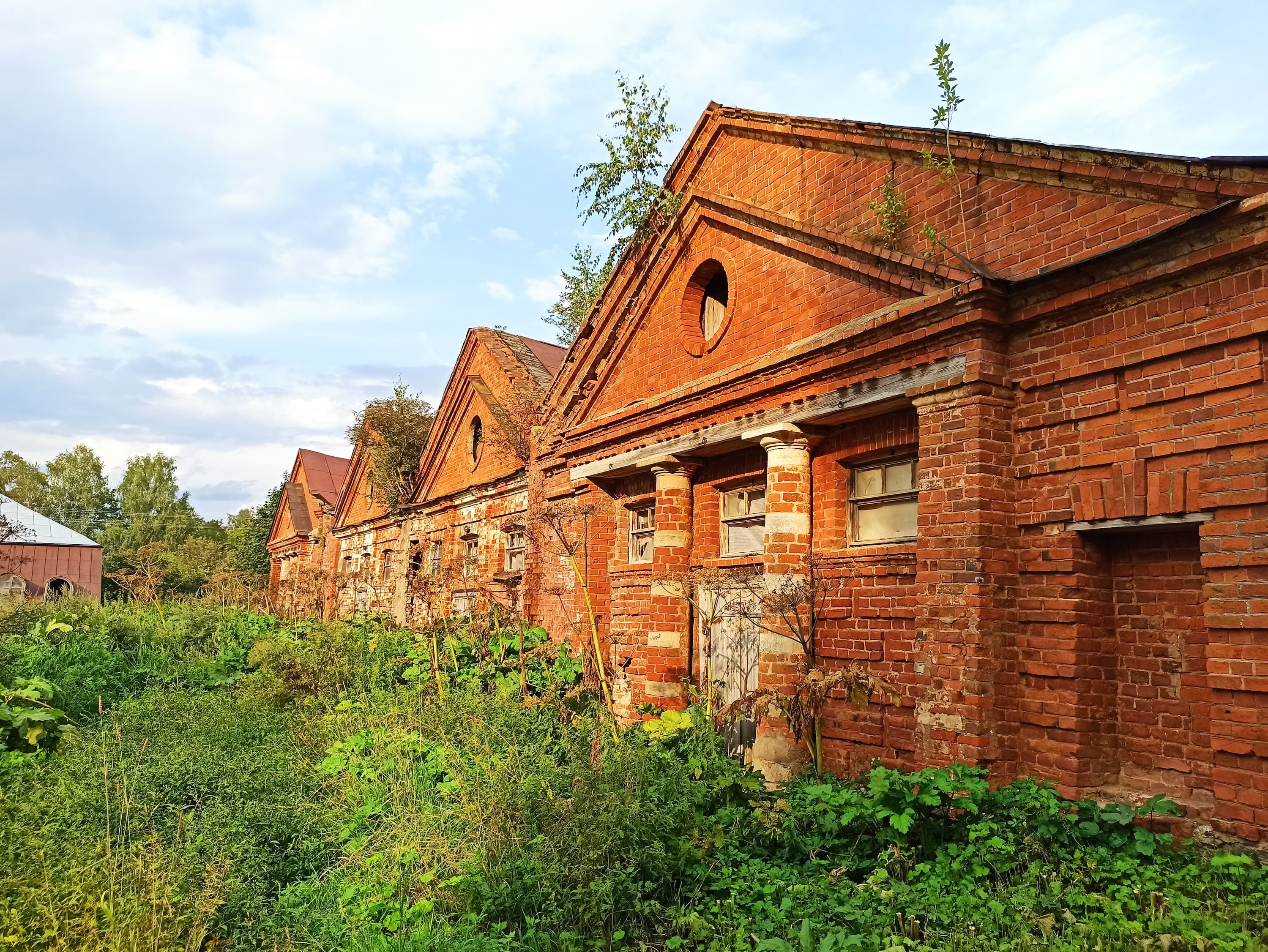 Stables of the Volyshevo estate (Pskov stud farm) — photo 1