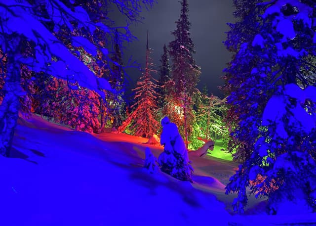 Арт-Парк Таинственный лес. Фотография 2