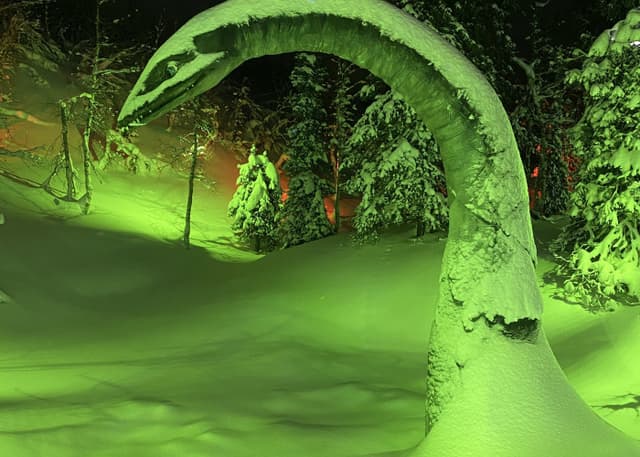 Арт-Парк Таинственный лес. Фотография 3