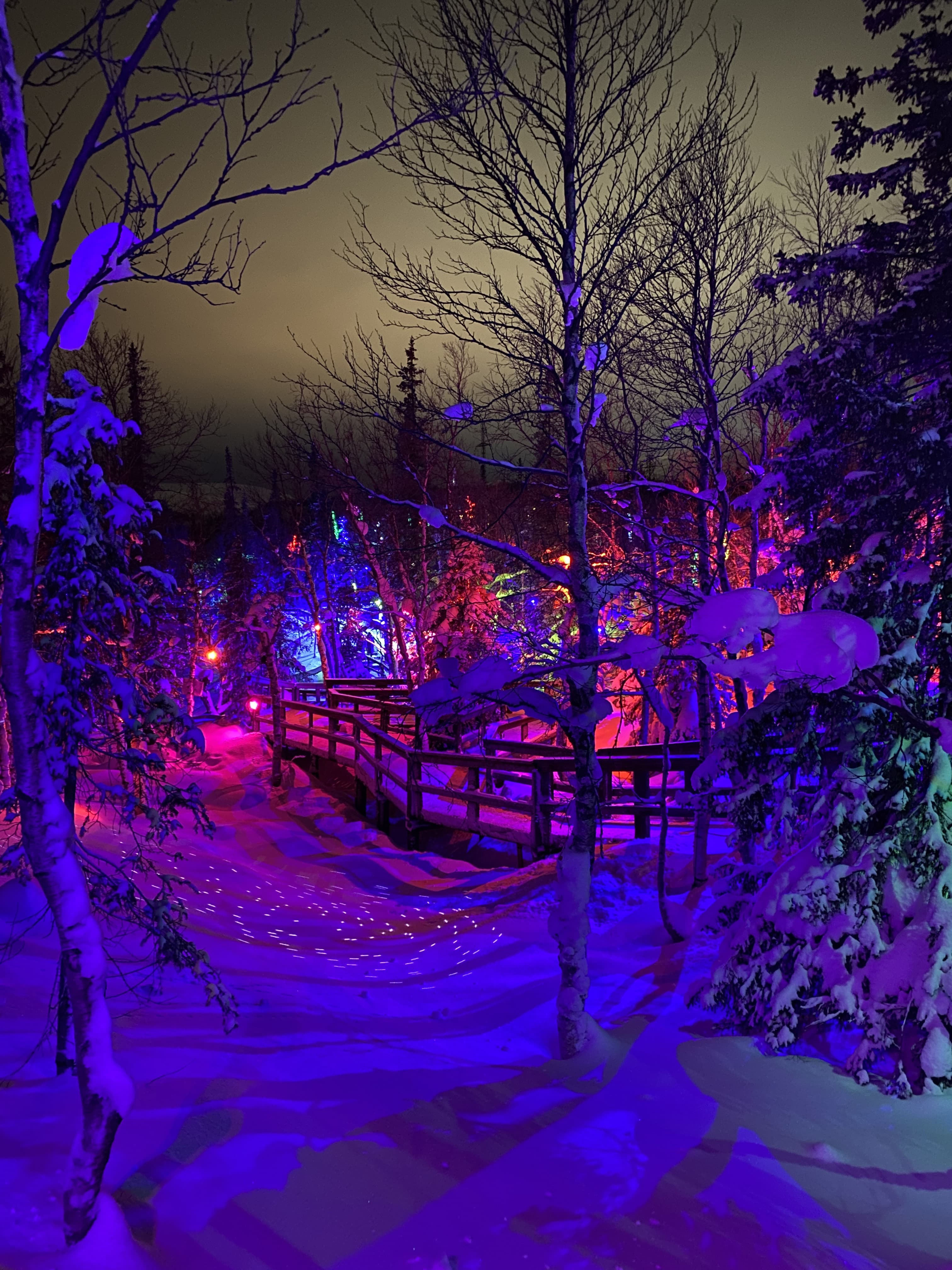 Таинственный лес (Кировск) — фотография 4