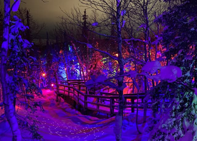 Арт-Парк Таинственный лес. Фотография 4