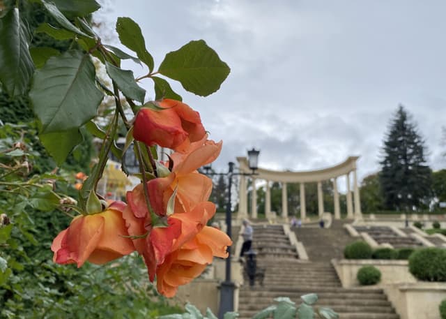 Каскадная лестница. Фотография 1