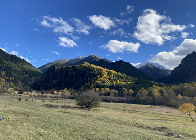 Джемагатские нарзаны. Фотография 2