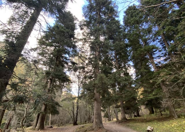 Джемагатские нарзаны. Фотография 5