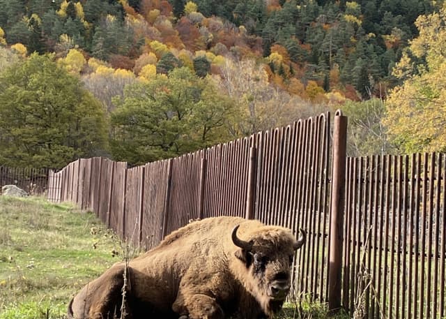 Зоопарк Тебердинского заповедника. Фотография 3