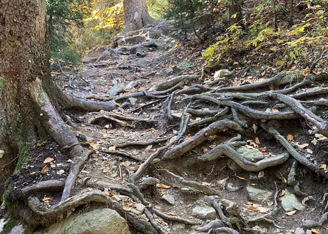 Начало тропы на Бадукские озера. Фотография 1