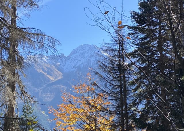 Начало тропы на Бадукские озера. Фотография 2