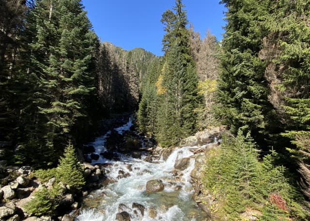 Начало тропы на Бадукские озера. Фотография 3