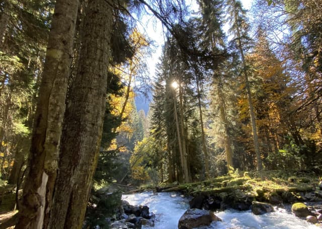 Начало тропы на Бадукские озера. Фотография 4