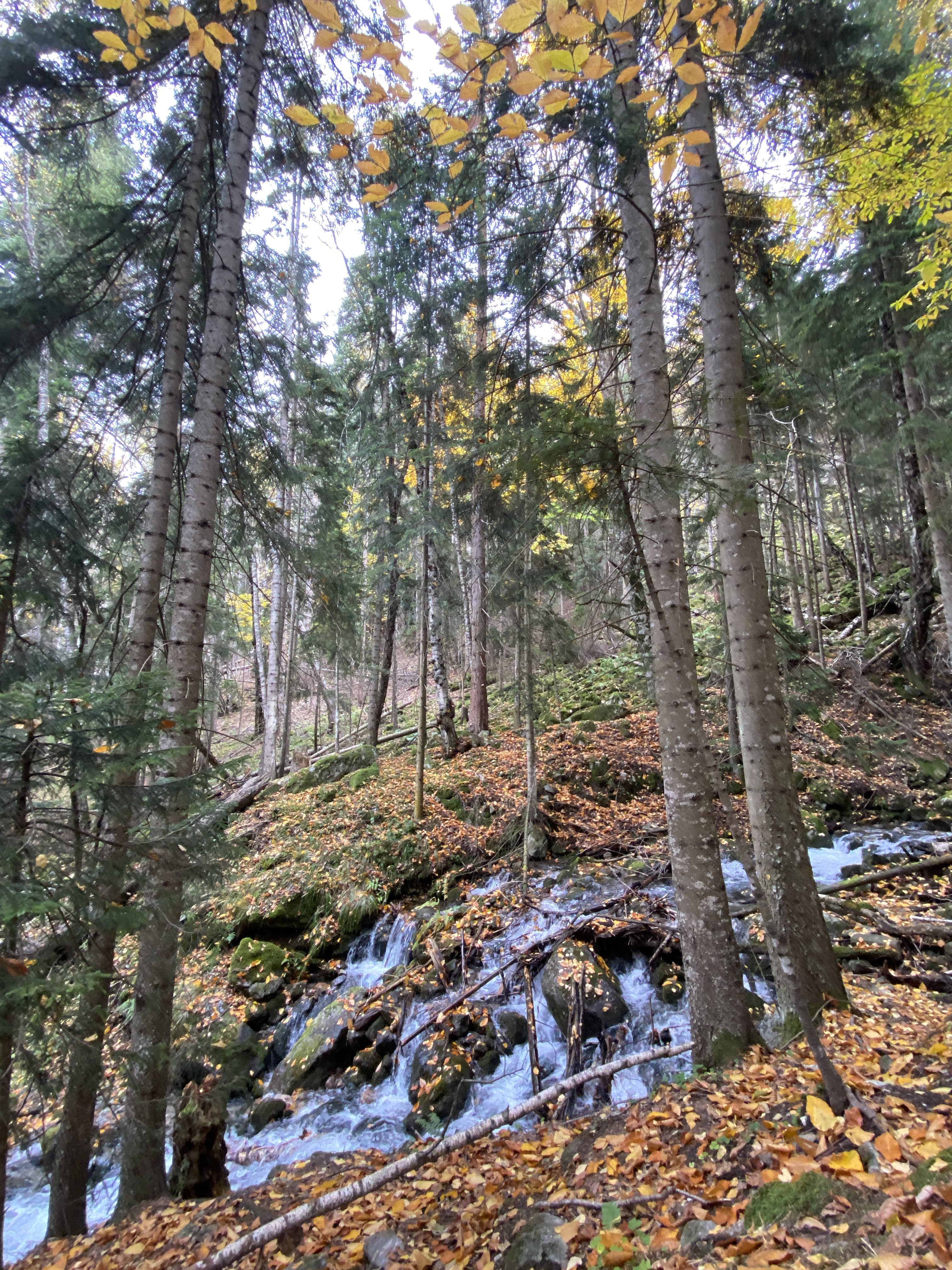 Shumka Waterfall (Teberda) — photo 1