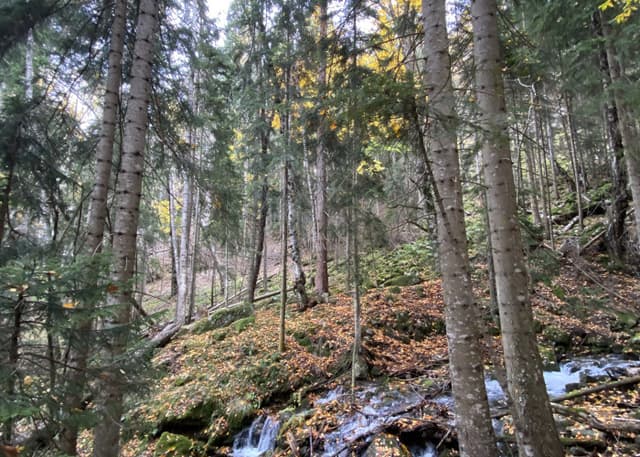 Водопад Шумка. Фотография 1