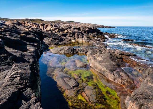 Гнездо дракона (Териберка). Фотография 2