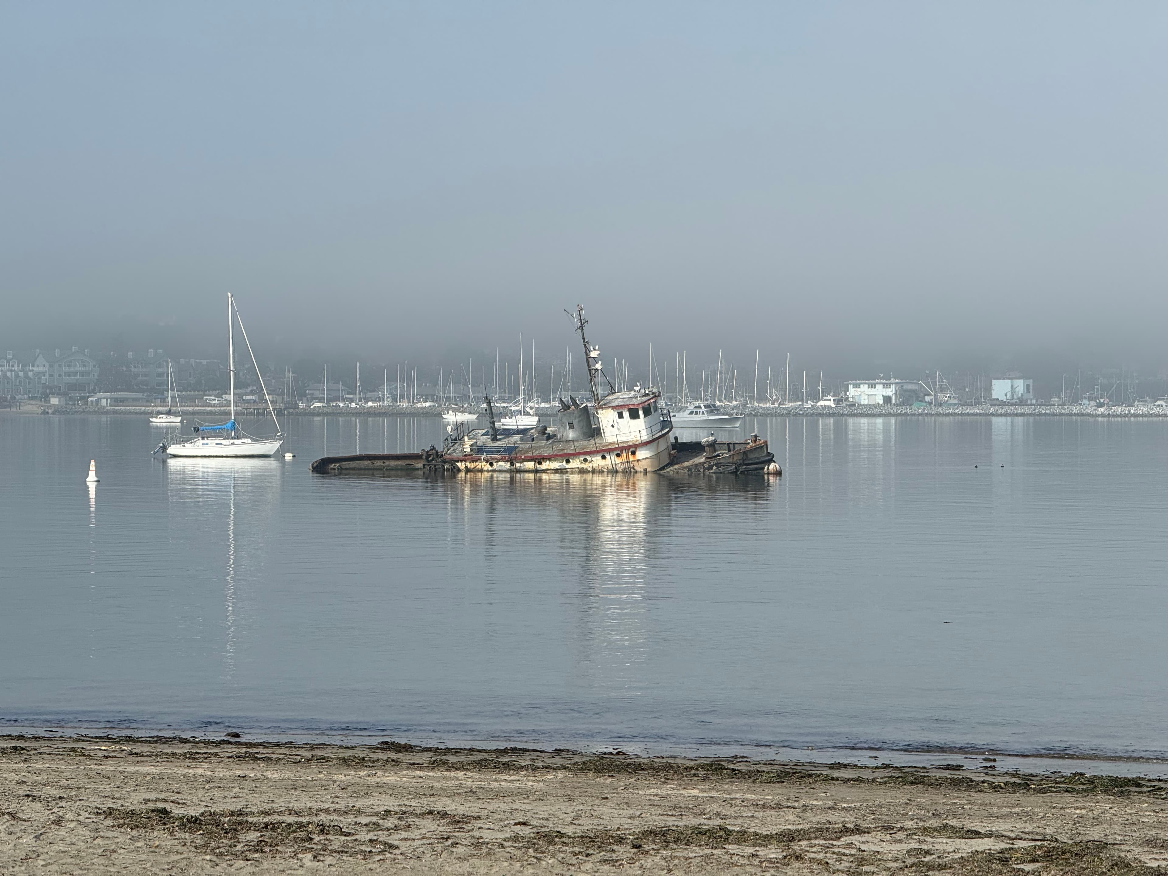 Wreck of the tug "Caleb" (Pillar Point) — photo 3
