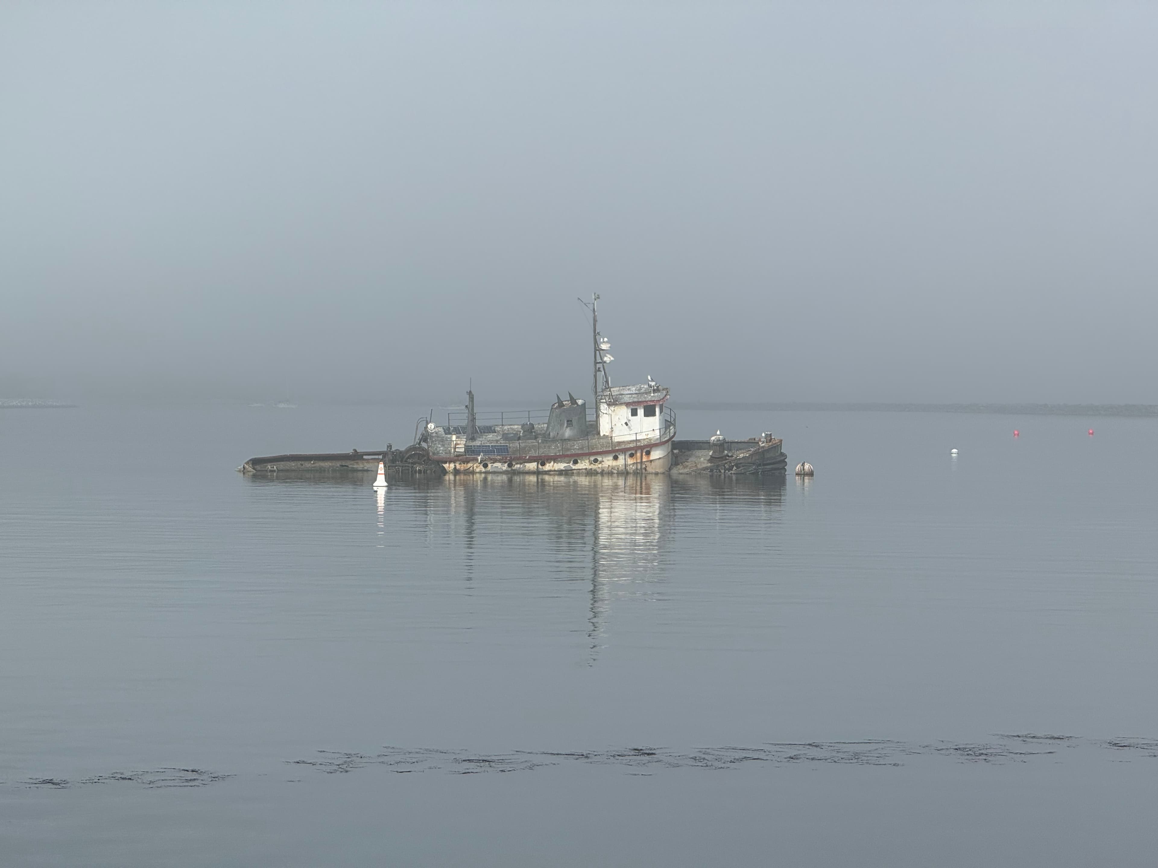 Wreck of the tug "Caleb" (Pillar Point) — photo 1