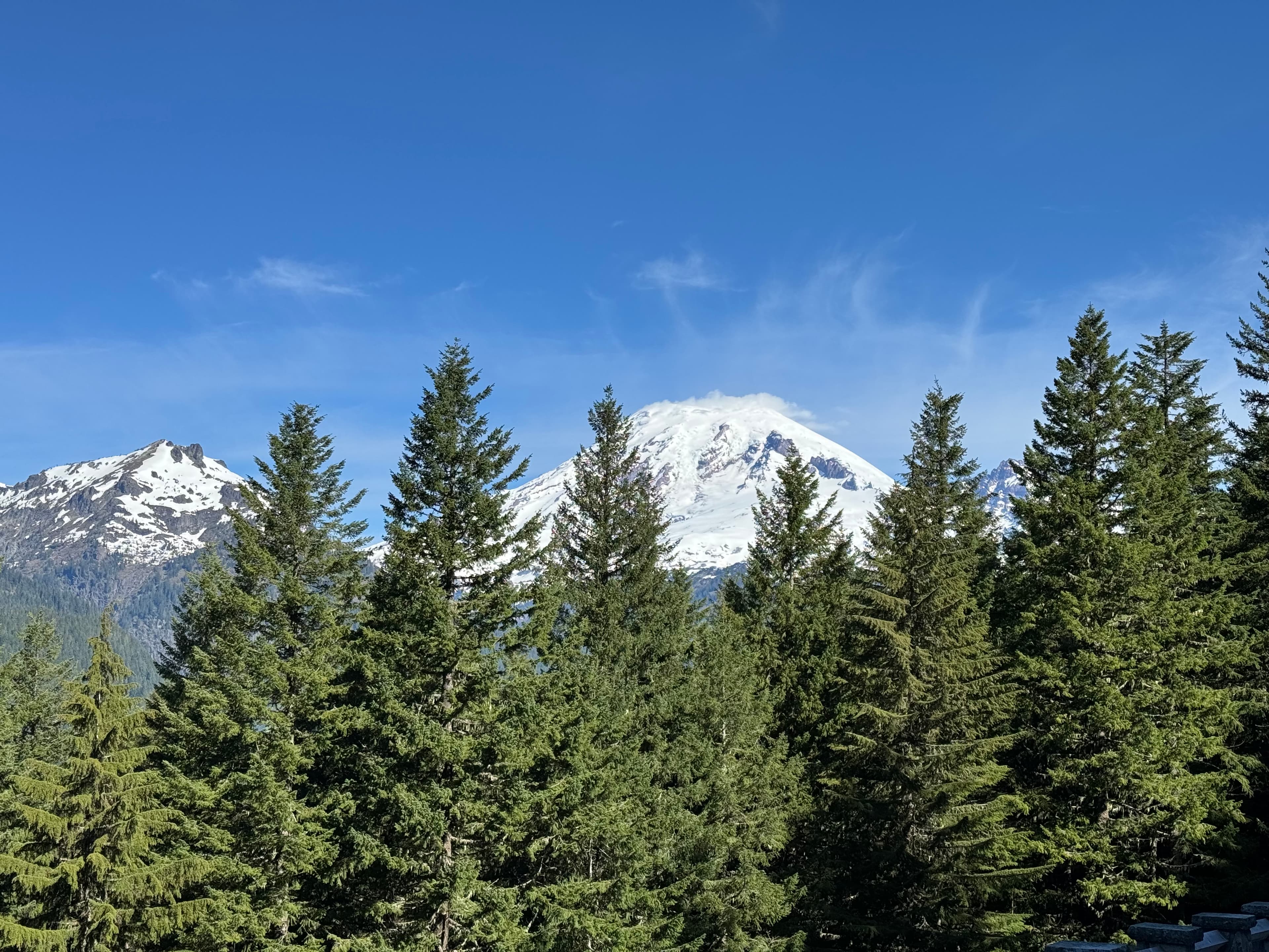 Mount Rainier National Park — photo 8