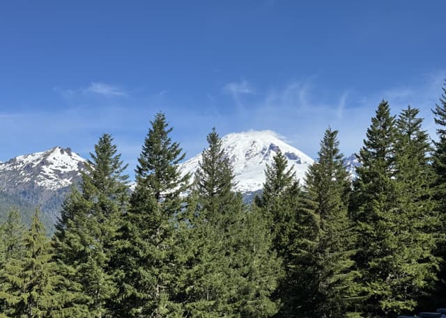 Национальный парк Маунт-Рейнир. Фотография 12