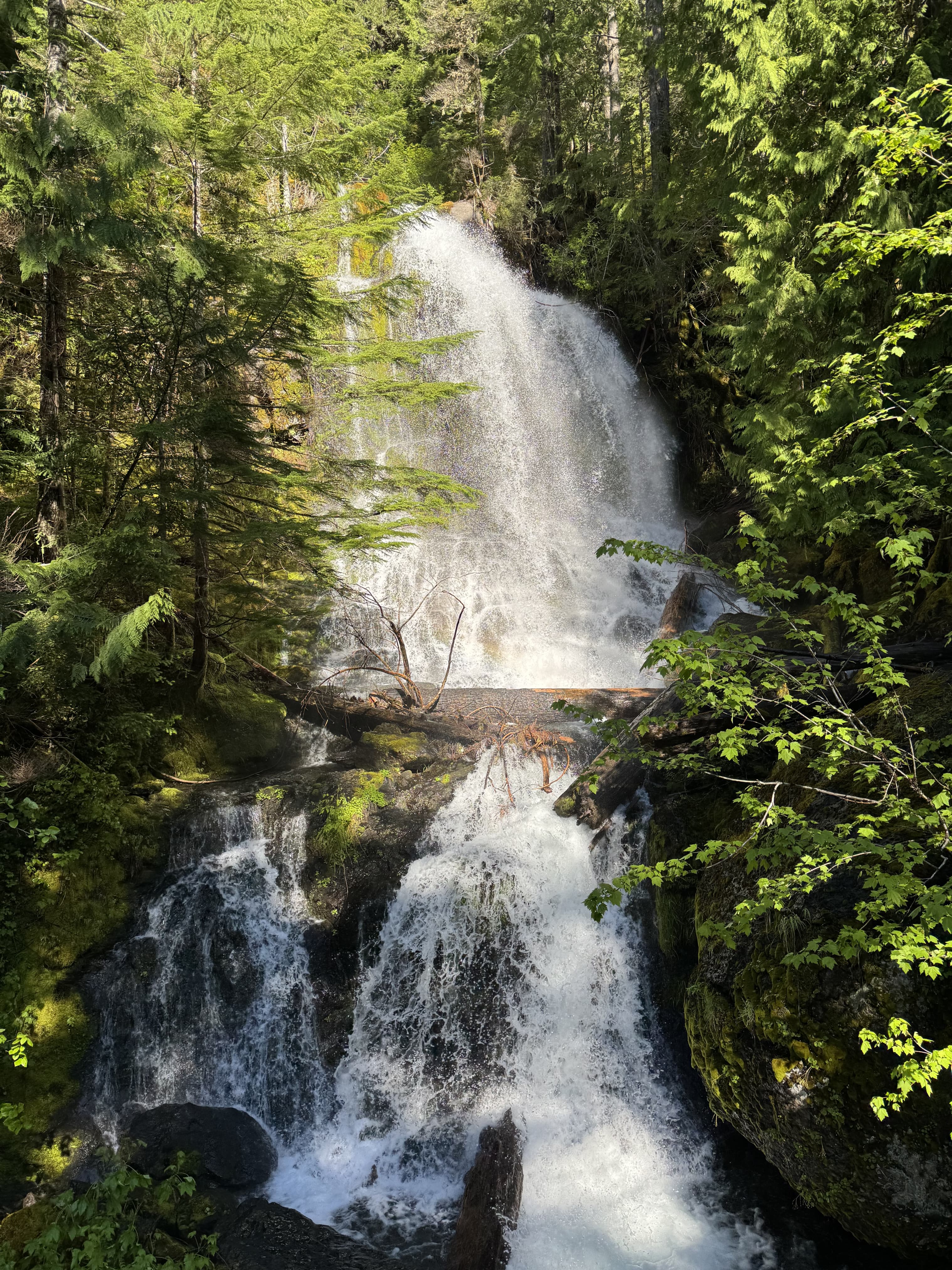 Mount Rainier National Park — photo 6