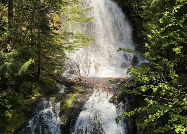 Национальный парк Маунт-Рейнир. Фотография 10
