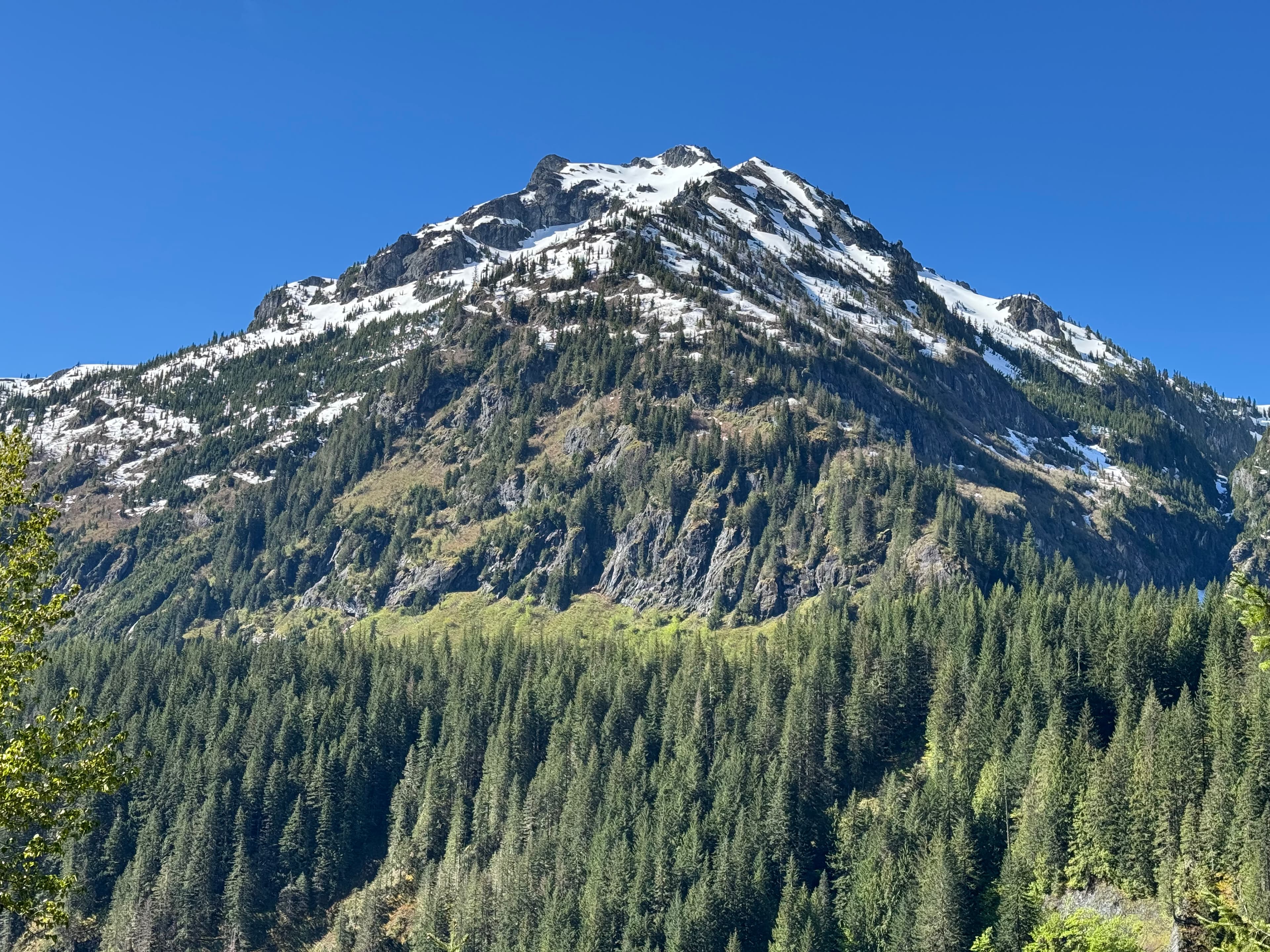 Mount Rainier National Park — photo 5