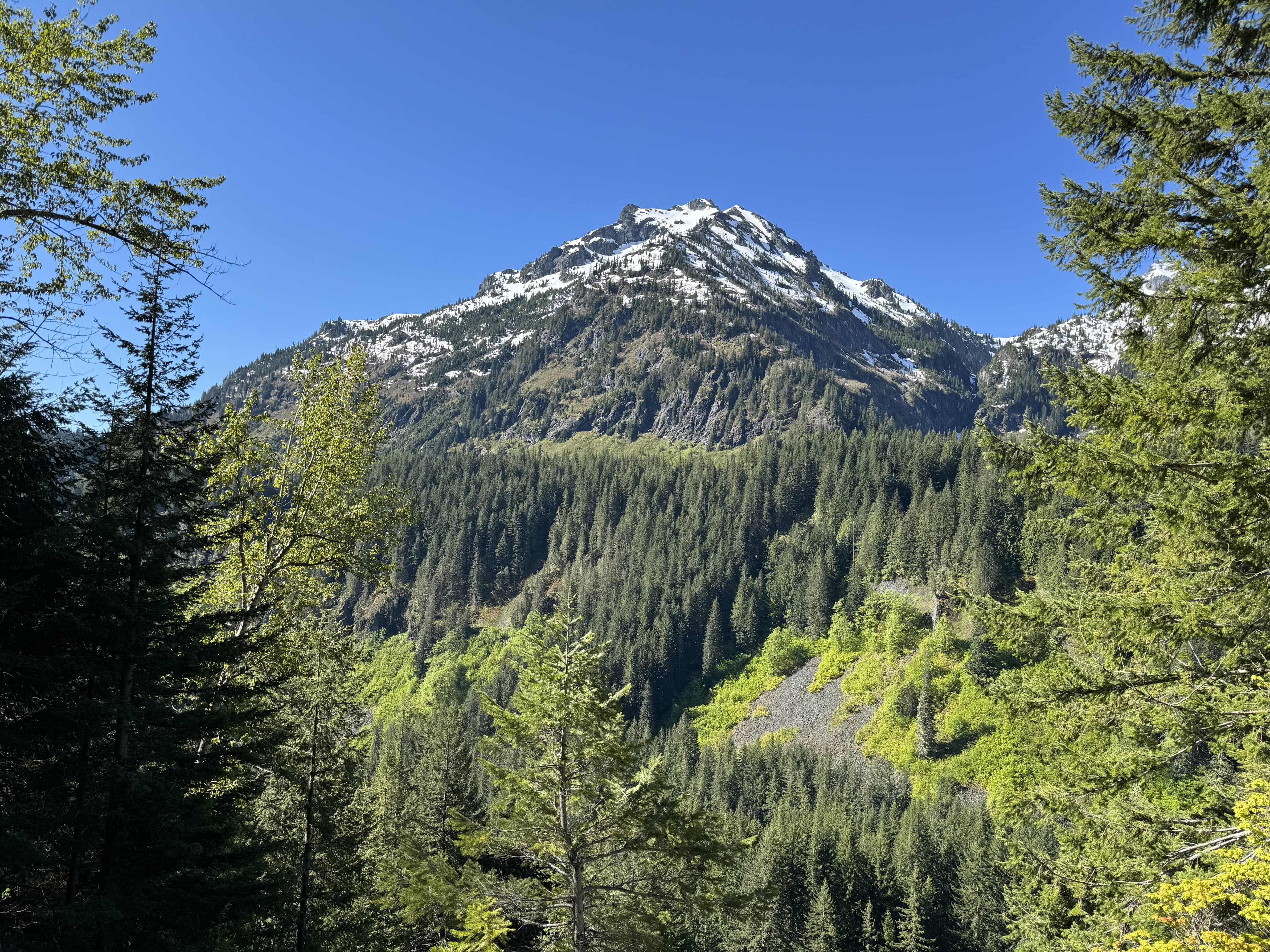 Mount Rainier National Park — photo 4