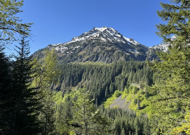 Национальный парк Маунт-Рейнир. Фотография 8