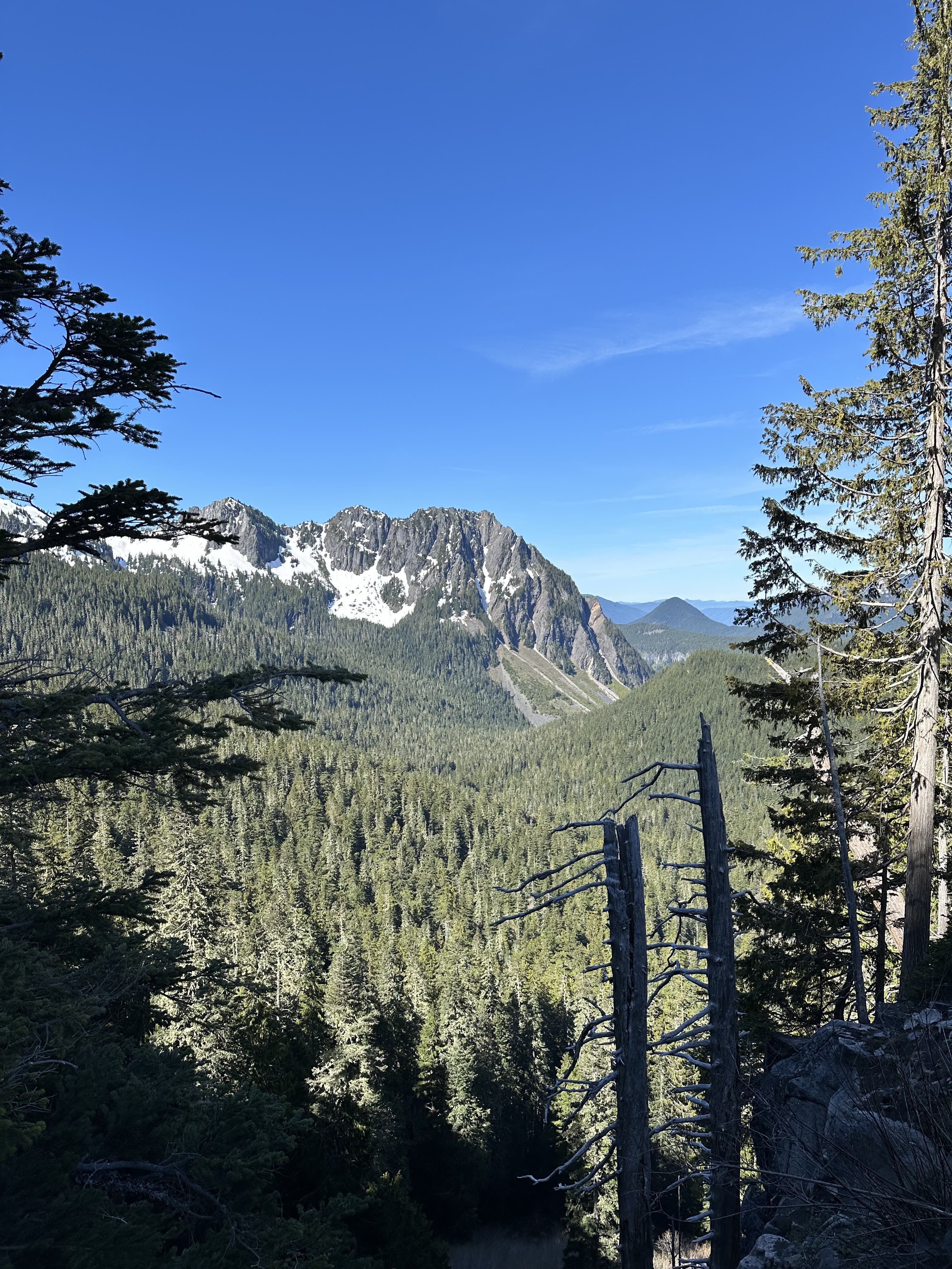 Mount Rainier National Park — photo 1