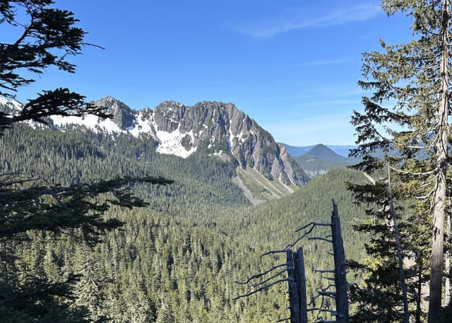 Национальный парк Маунт-Рейнир. Фотография 5