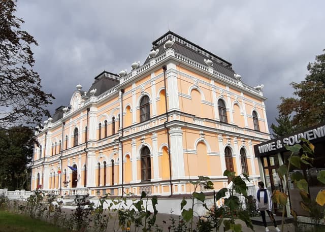 Дворец Манук-Бея (Хынчешты, Молдова). Фотография 1