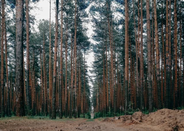 Константиновский карьер (Тверь). Фотография 1