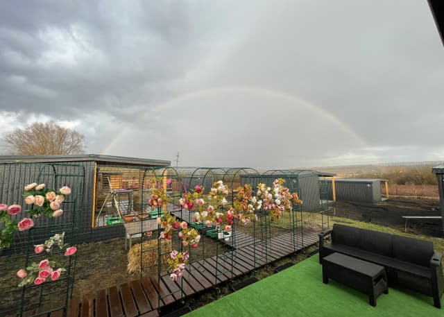 Глэмпинг Улей . Фотография 2