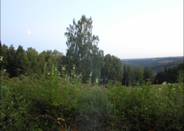 Молёбская аномальная зона. Фотография 4