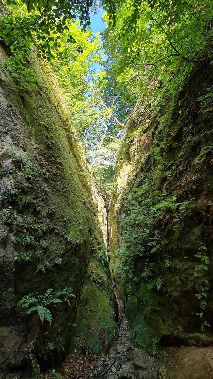 Wolf's Gate Gorge — photo 3