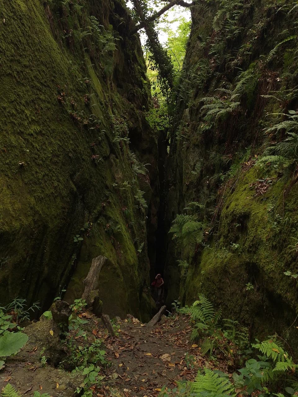 Wolf's Gate Gorge — photo 1