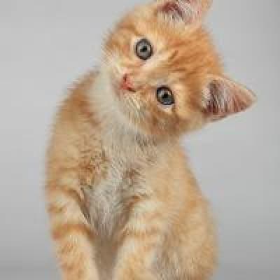 Луиза Иванова