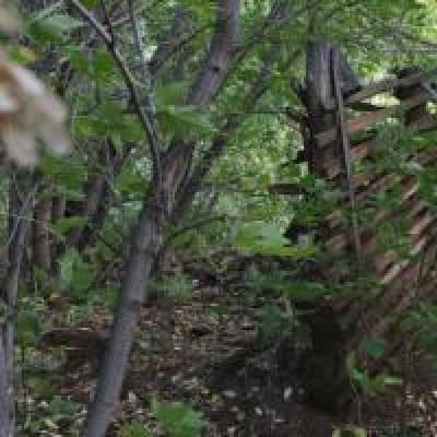 Константин Фаст