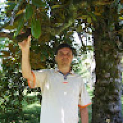 Андрей Вдовенко