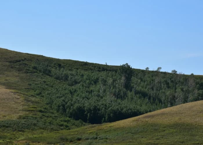 Гора Крутая. Photo 2