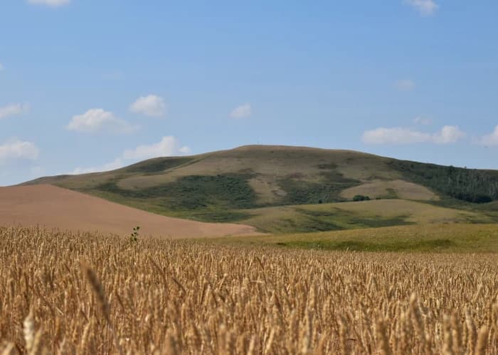 Гора Крутая. Photo 1