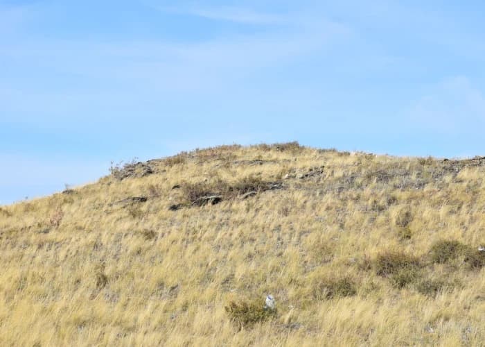 Гора Змеиная. Photo 1