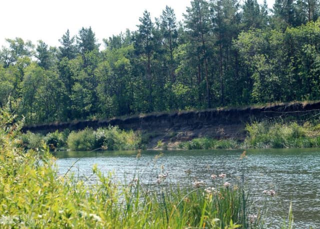 Кемпинг на берегу Урала. Фотография 1
