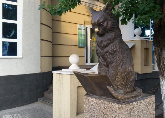 Памятник ученому коту. Фото 1