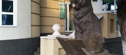 Monument Scholarly Cat