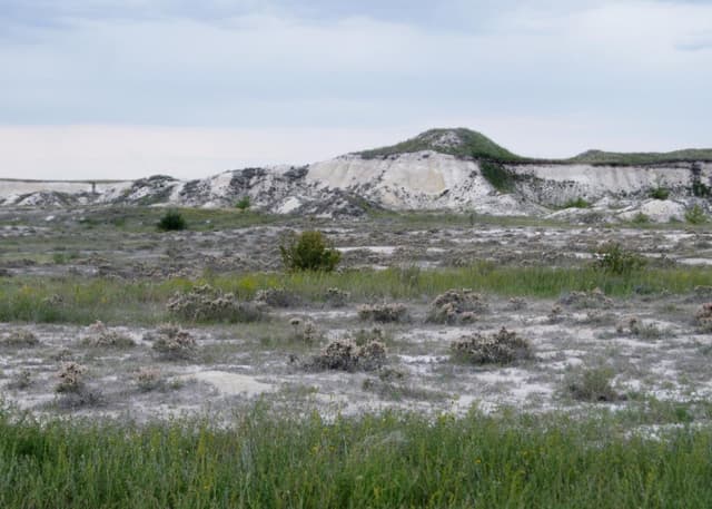 Покровские меловые горы. Фотография 4
