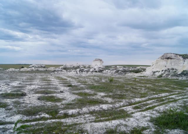 Покровские меловые горы. Фотография 6