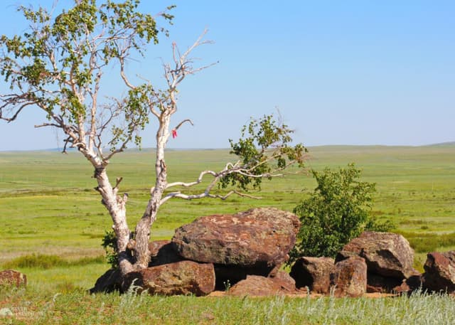 Урочище Святой камень (Алеутас). Фотография 9