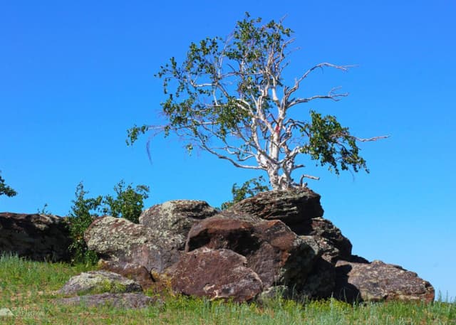 Урочище Святой камень (Алеутас). Фотография 10